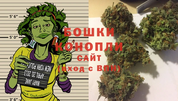 шишки Белоозёрский