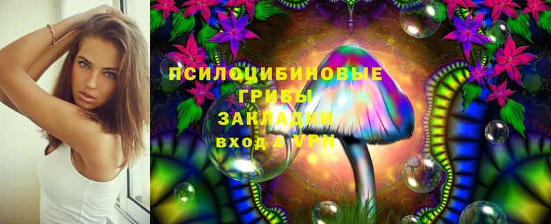 наркошоп  Волгодонск  Псилоцибиновые грибы MAGIC MUSHROOMS 